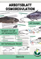 Vorschau - Arbeitsblätter - Arbeitsblatt Osmoregulation Fische Süßwasser Salzwasser - Deckblatt