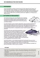Vorschau - Arbeitsblätter - Arbeitsblatt Osmoregulation Fische Süßwasser Salzwasser - Seite 1