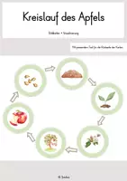 Vorschau - Bildkarten - Apfel Kreislauf - Deckblatt