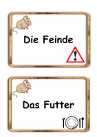 Vorschau - Präsentationen/Tafelbilder - Die Maus_Stundentransparenz 8 Bildkarten mit Themen - Seite 3