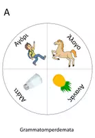 Προεπισκόπηση - Flashcards - Ο Δίσκος Εκμάθησης της Αλφαβήτα - Σελίδα 3