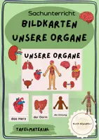 Vorschau - Bildkarten - Deckblatt BK Organe - Deckblatt