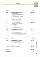 Vorschau - Arbeitsblätter - Lernwerkstatt Die Entwicklung des Menschen | Steinzeit, Evolution, Urmenschen, Höhlenmalerei, Werkzeuge, Feuer, Darwin | Sachunterricht Geschichte Grundschule Klasse 2-4 Lösungen - Seite 2