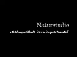 Vorschau - Arbeitsblätter - Naturstudien in Anlehnung an Albrecht Dürers "Das große Rasenstück" - Seite 1