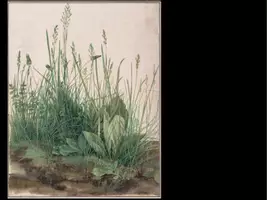 Vorschau - Arbeitsblätter - Naturstudien in Anlehnung an Albrecht Dürers "Das große Rasenstück" - Seite 2