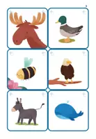 anteprima - Clipart / Immagini originali - Le carte di Training Cognitivo: Gli animali - Pagina 2