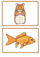 Vorschau - Spiele - Materialpaket Pets - Seite 1