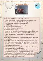 Vorschau - Anderer Materialtyp - Science Slam: "Bühne frei für die Wissenschaft - mit Herz und Hirn" - Seite 1