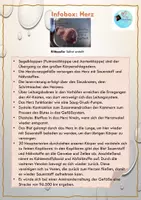 Vorschau - Anderer Materialtyp - Science Slam: "Bühne frei für die Wissenschaft - mit Herz und Hirn" - Seite 2