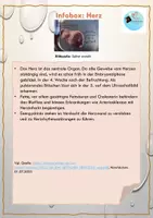 Vorschau - Anderer Materialtyp - Science Slam: "Bühne frei für die Wissenschaft - mit Herz und Hirn" - Seite 3