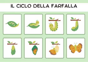 anteprima - Esercizi - SCIENZE FACILE- Raccolta di materiali! (+80 PAGINE) - Pagina 2