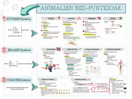 Vista previa - Unidades / Secuencias / Situaciones de Aprendizaje - BIOLOGÍA, 3ºESO - FUNCIONES VITALES DE LOS ANIMALES - Portada