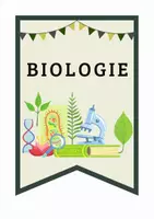 Vorschau - Poster - Wimpelkette Biologie / Pinn- und Merkwände / Überschrift - Deckblatt
