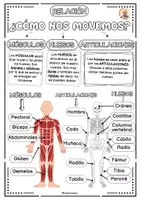 Vista previa - Hojas de trabajo - Las funciones vitales - página 2