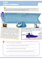 Vorschau - Arbeitsblätter - Tsunamis (Arbeitsblätter & PowerPoint) - Seite 1