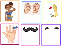 Προεπισκόπηση - Flashcards - Μέρη του Σώματος - Θεματικό Λεξιλόγιο - Σελίδα 2