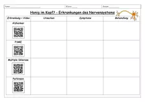 Vorschau - Stundenentwürfe - Erkrankungen des Nervensystems - Gruppenarbeit und Quiz (Alzheimer, Parkinson, FSME, Multiple Sklerose) - Seite 2