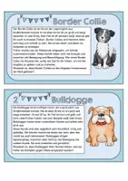 Vorschau - Stationenlernen - Wissenskartei: Hunde mit Forscherheft und Steckbrief. Abschreiben & Lesen - Seite 1