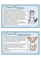 Vorschau - Stationenlernen - Wissenskartei: Hunde mit Forscherheft und Steckbrief. Abschreiben & Lesen - Seite 2