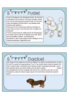 Vorschau - Stationenlernen - Wissenskartei: Hunde mit Forscherheft und Steckbrief. Abschreiben & Lesen - Seite 3