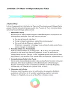 Vorschau - Arbeitsblätter - Peplaus Pflegemodell - Arbeitsblätter für die Gruppenarbeit - Deckblatt
