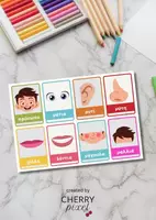 Προεπισκόπηση - Flashcards - Mini Εκτυπώσιμες Κάρτες με τα Μέρη του Προσώπου - Εξώφυλλο