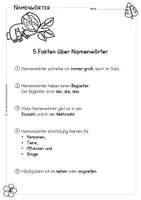 Vorschau - Arbeitsblätter - Namenwörter und Nomen – Übungsmappe ab Klasse 2 - Seite 3