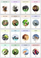 Vista previa - Juegos / Gamificación - Cartas sobre Animales y sus tipos de alimentación (parte 1) - página 1
