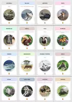 Vista previa - Juegos / Gamificación - Cartas sobre Animales y sus tipos de alimentación (parte 1) - página 2