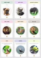 anteprima - Flashcard - Cartas sobre Animales y sus tipos de alimentación (parte 1) - Pagina 1