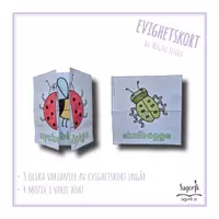 förhandsvisning - Evighetskort insekter - försättsblad