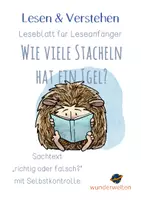Vorschau - Arbeitsblätter - Tiere - Der Igel - Sachtext - Leseverständnis - "richtig oder falsch" - Leseblatt mit Selbstkontrolle - Deckblatt