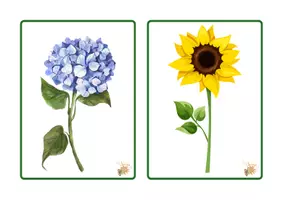 Vista previa - Tarjetas / Manipulativos - TARJETA VOCABULARIO NATURALEZA - página 3