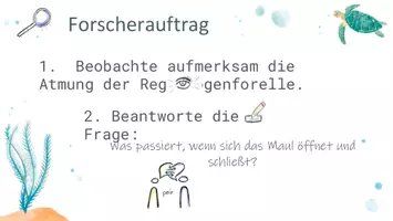 Vorschau - Arbeitsblätter - Wie atmen Fische? - Lernen am Modell (Sternenstunde) - Seite 3