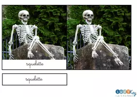 Aperçu - Apprentissages en autonomie - cartes de nomenclature Montessori sur le thème d'Halloween ! - Page 1