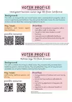 Vorschau - Arbeitsblätter - AB Election 2024 Voter Profiles - Seite 1