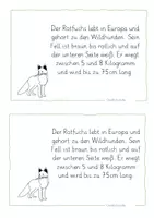 Vorschau - Arbeitsblätter - Abschreibkartei Fuchs - Seite 2