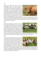 Vorschau - Arbeitsblätter - Haus- und Nutztiere: Steckbriefe erstellen (inkl. Infotexte) - Gruppenpuzzle - Seite 2