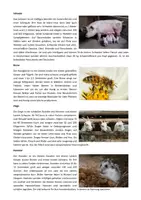 Vorschau - Arbeitsblätter - Haus- und Nutztiere: Steckbriefe erstellen (inkl. Infotexte) - Gruppenpuzzle - Seite 3