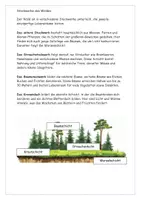 Vorschau - Arbeitsblätter - Die Stockwerke des Waldes Text Grafik Aufgaben Lösung - Seite 1
