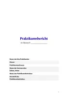 Vorschau - Arbeitsblätter - Materialpaket Deutsch: Das eigene Praktikum dokumentieren und reflektieren (Berufsorientierung) - Seite 1