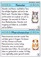 Vorschau - Arbeitsblätter - Abschreibkartei - Haustiere | Abschreibübungen | Deutsch 1. Klasse - Seite 3