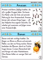 Vorschau - Arbeitsblätter - Abschreibkartei - Insekten | Abschreibübungen | Deutsch 1. Klasse - Seite 2