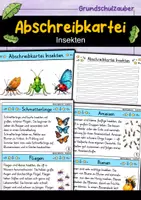 Vorschau - Arbeitsblätter - Abschreibkartei - Insekten | Abschreibübungen | Deutsch 1. Klasse - Deckblatt