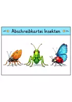 Vorschau - Arbeitsblätter - Abschreibkartei - Insekten | Abschreibübungen | Deutsch 1. Klasse - Seite 1
