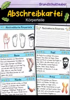 Vorschau - Arbeitsblätter - Abschreibkartei - Körperteile | Abschreibübungen | Deutsch 1. Klasse - Deckblatt