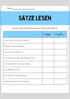 Vorschau - Arbeitsblätter - Sätze lesen: richtig oder falsch entscheiden - Seite 2