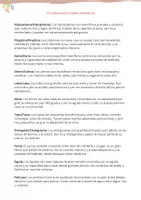 Vista previa - Unidades / Secuencias / Situaciones de Aprendizaje - Vocabulario: Animales (teoría básica + ejercicios) - página 3