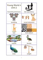 Vorschau - Stationenlernen - Bildkarten Vocabulary passend zu Young World 4 Unit 2 - Seite 2