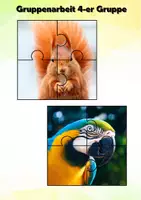 Vorschau - Spiele - Gruppenbildung/ Gruppenarbeit/ Partnerarbeit/ Puzzle - Seite 3